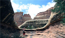 USA-Utah-Canyonlands Escalante Hiker